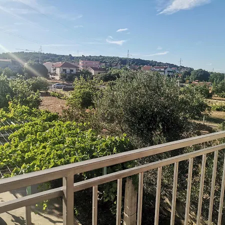 Апартаменты Amelia *